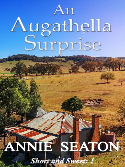 Title details for An Augathella Surprise by Annie Seaton - Available